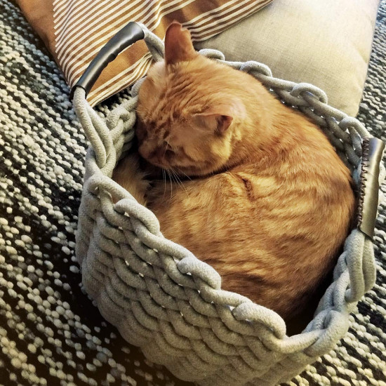 Navaris Small Cat Bed Basket - Καλάθι Κρεβάτι για Γάτες και Μικρά Κατοικίδια - Grey - 47064.1