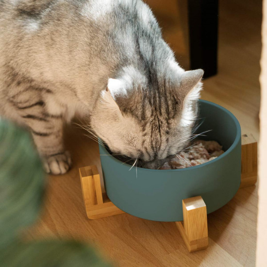 Navaris Cat Bowls with Wood Stands - Σετ με 2 Μπολ Φαγητού και Νερού με Βάση από Μπαμπού για Κατοικίδια - Green / Brown - 48350.07
