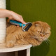 Navaris Pet Fur Dematting Comb Χτένα για Κατοικίδια - Grey / Teal - 44332