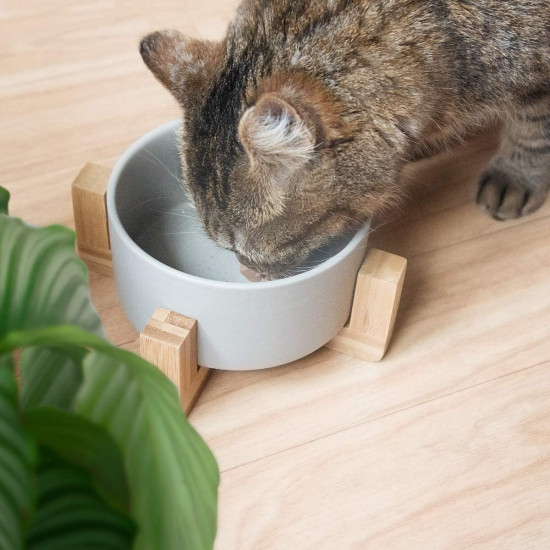 Navaris Cat Bowls with Wood Stands - Σετ με 2 Μπολ Φαγητού και Νερού με Βάση από Μπαμπού για Κατοικίδια - Grey / Brown - 48350.1.22