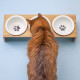 Navaris Raised Pet Bowls Stand - Ανυψωμένα Μπολ Φαγητού με Ξύλινη Βάση για Κατοικίδια - 360 ml - Wood - 46946.2