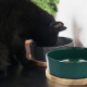 Navaris Ceramic Dog Bowls with Wood Underlay - Σετ με 2 Μπολ Φαγητού και Νερού με Βάση από Ξύλο Βελανιδιάς και Κεραμικό για Κατοικίδια - Dark Green / Gray - 50946.80