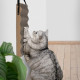 Navaris Cat Hanging Scratching Board - Κρεμαστό Ονυχοδρόμιο για Γάτες - 13 x 5 x 45 cm - Brown - 49994.4