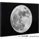 Navaris Μαγνητικός Πίνακας Ανακοινώσεων - 60 x 40 cm - Design Moon - 45365.12