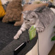 Navaris Cat Scratch Armrest Organiser Προστατευτικό Καναπέ από Γρατζουνιές Γάτας - 130 x 45 cm - Dark Grey - White - 48412.19.02