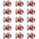 Navaris Μαγνητάκια για το Ψυγείο και για Πίνακα με Κλιπ - Σετ 15 τεμαχίων - Bronze - 48475.81.15