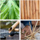 Relaxdays Βάση Αποθήκευσης και Οργάνωσης Καλλυντικών από Bamboo - Natural - 4052025261245