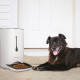 Navaris Automatic Pet Food Dispenser - Αυτόματη Ταΐστρα Φαγητού με Χρονοδιακόπτη για Κατοικίδιο - 6L - White - 44769.05