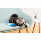 PetKit Cooling Cat Pad Στρώμα Ψύξης για Γάτες - White / Light Blue / Blue