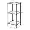 Songmics Μεταλλική Ραφιέρα με 3 Πλαστικά Ράφια - 30 x 30 x 73 cm - Black - LGR103B01